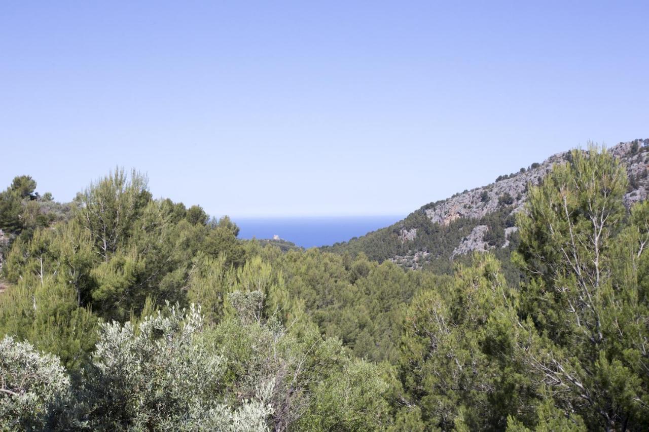 Villa Es Coco, Soller Puerto de Sóller Exteriör bild