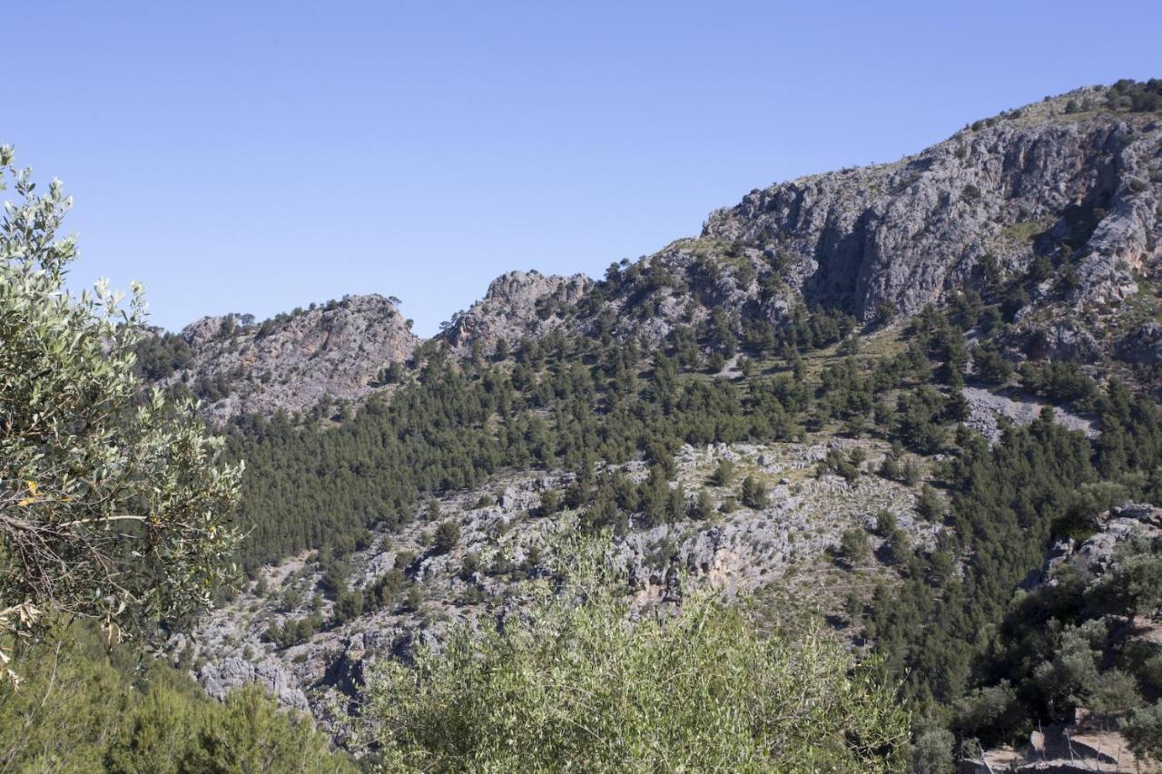 Villa Es Coco, Soller Puerto de Sóller Exteriör bild
